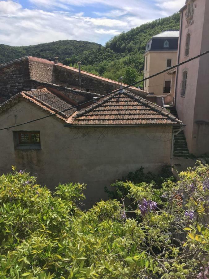 Domaine De Brousson Bed and Breakfast La Tour-sur-Orb Eksteriør billede